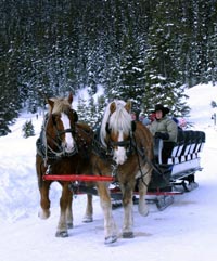 Lake Louise, Alberta Canada